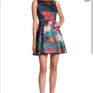 Alice and Olivia watercolor dress
